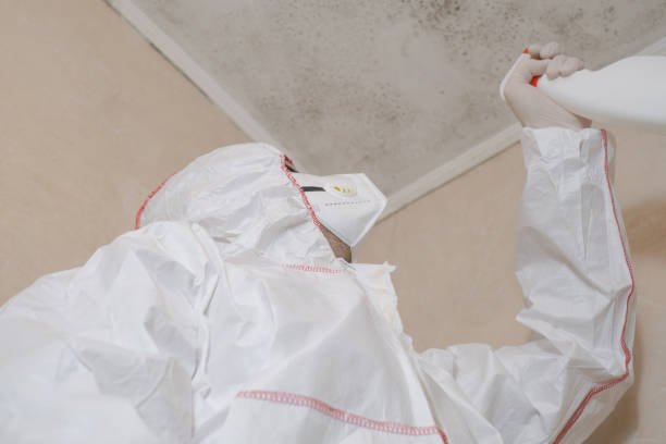 Best Crawl Space Mold Remediation in Thorntown, IN